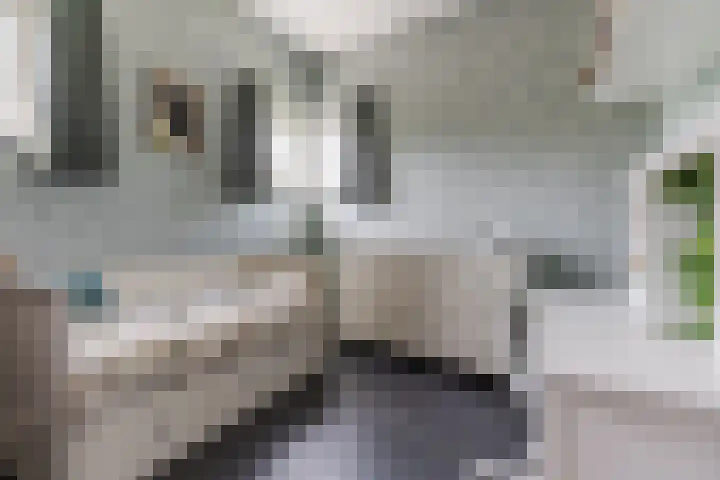 Kievitlaan 14 Riethoven thumbnail 35
