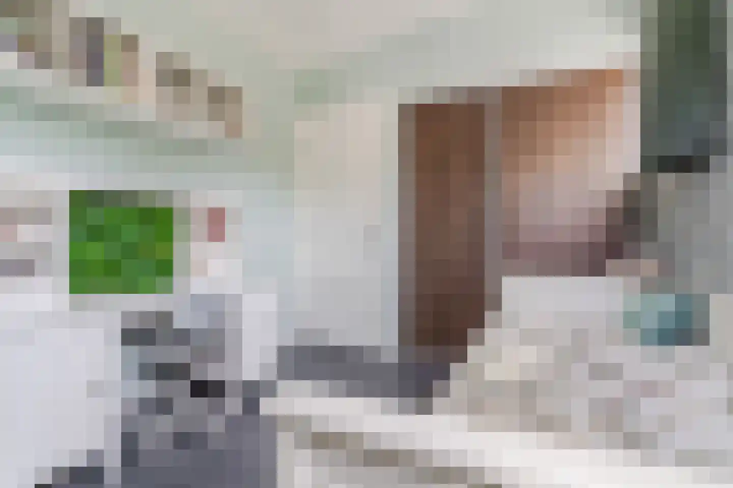 Kievitlaan 14 Riethoven thumbnail 36