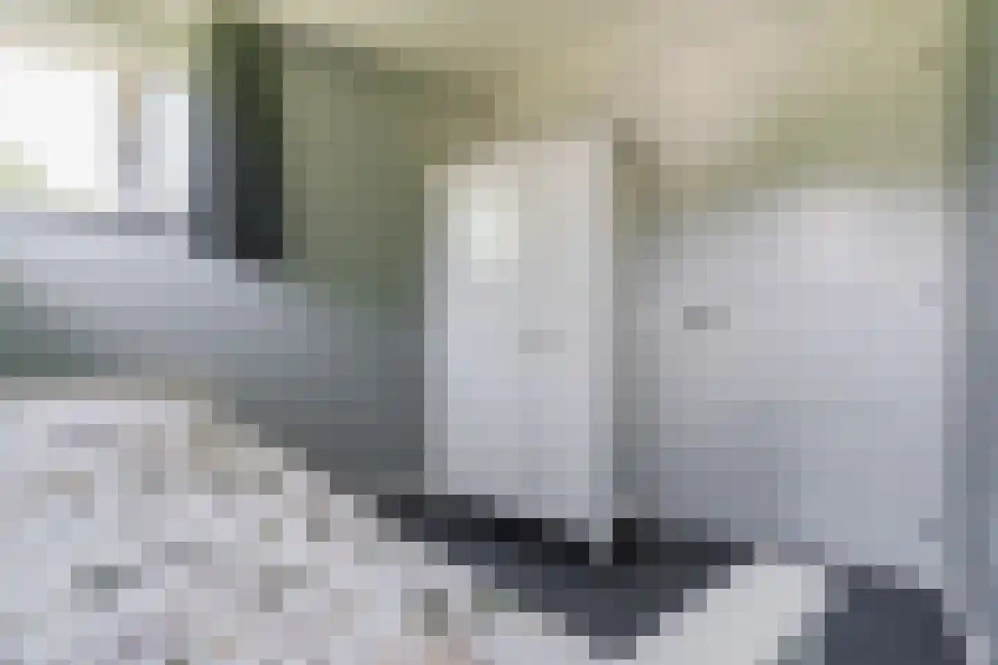 Kievitlaan 14 Riethoven thumbnail 38