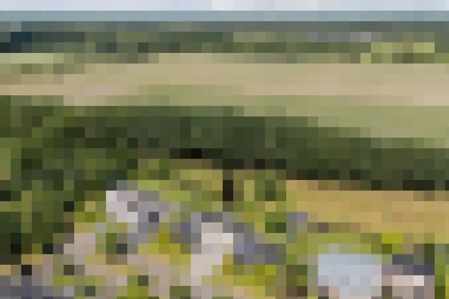 Kievitlaan 14 Riethoven thumbnail 4