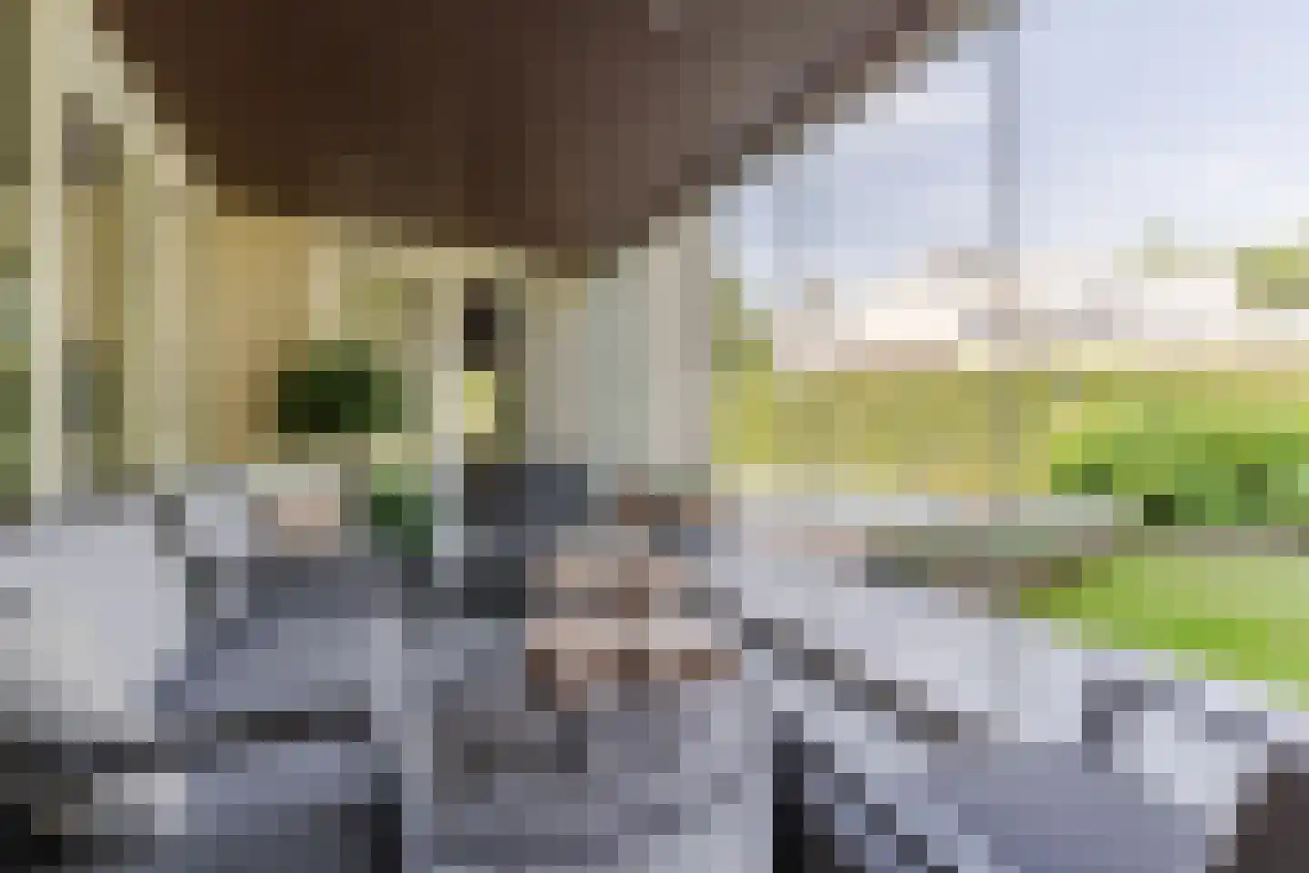 Kievitlaan 14 Riethoven thumbnail 45