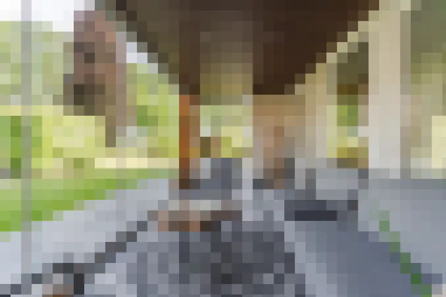 Kievitlaan 14 Riethoven thumbnail 46