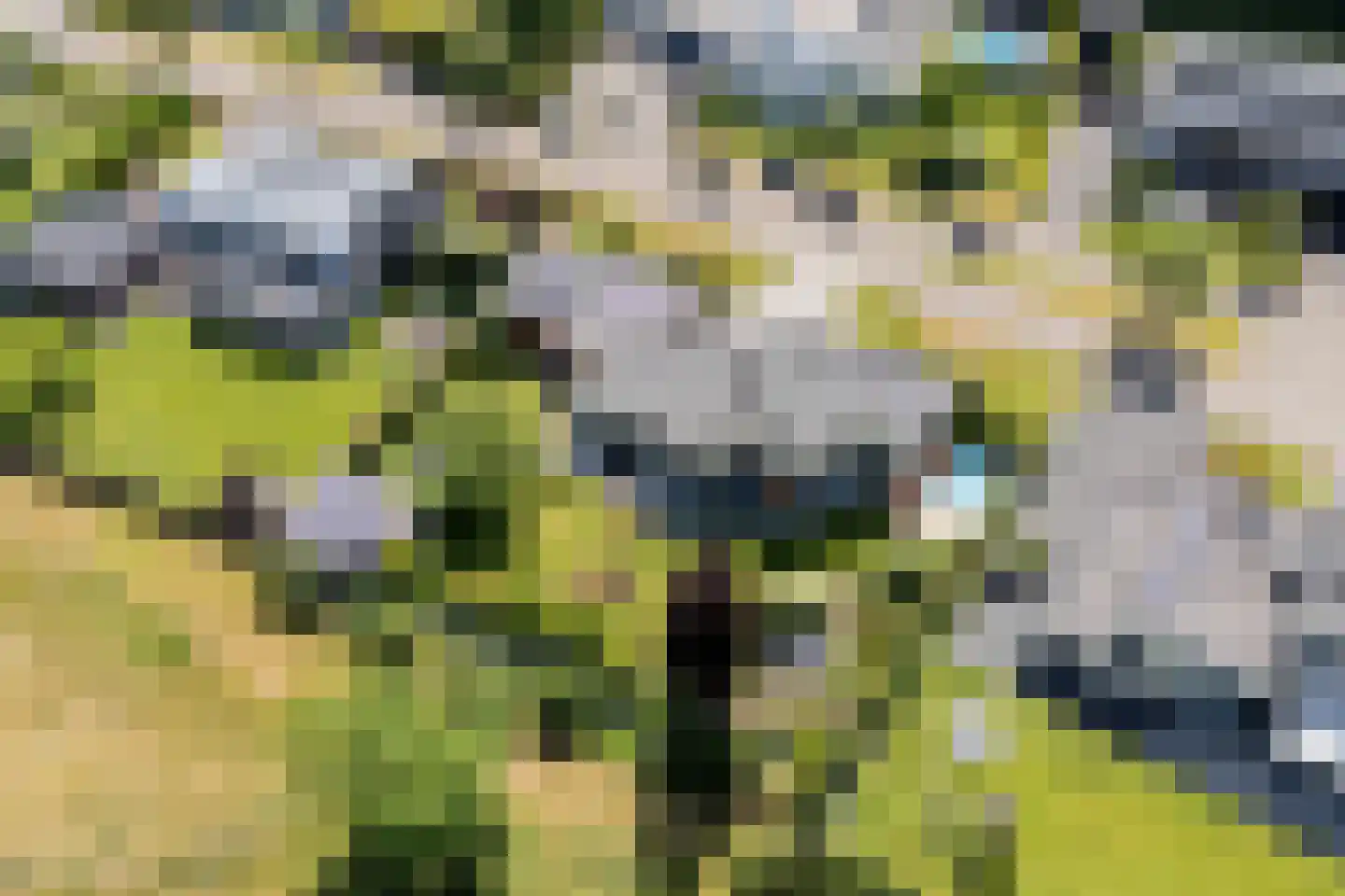 Kievitlaan 14 Riethoven thumbnail 47