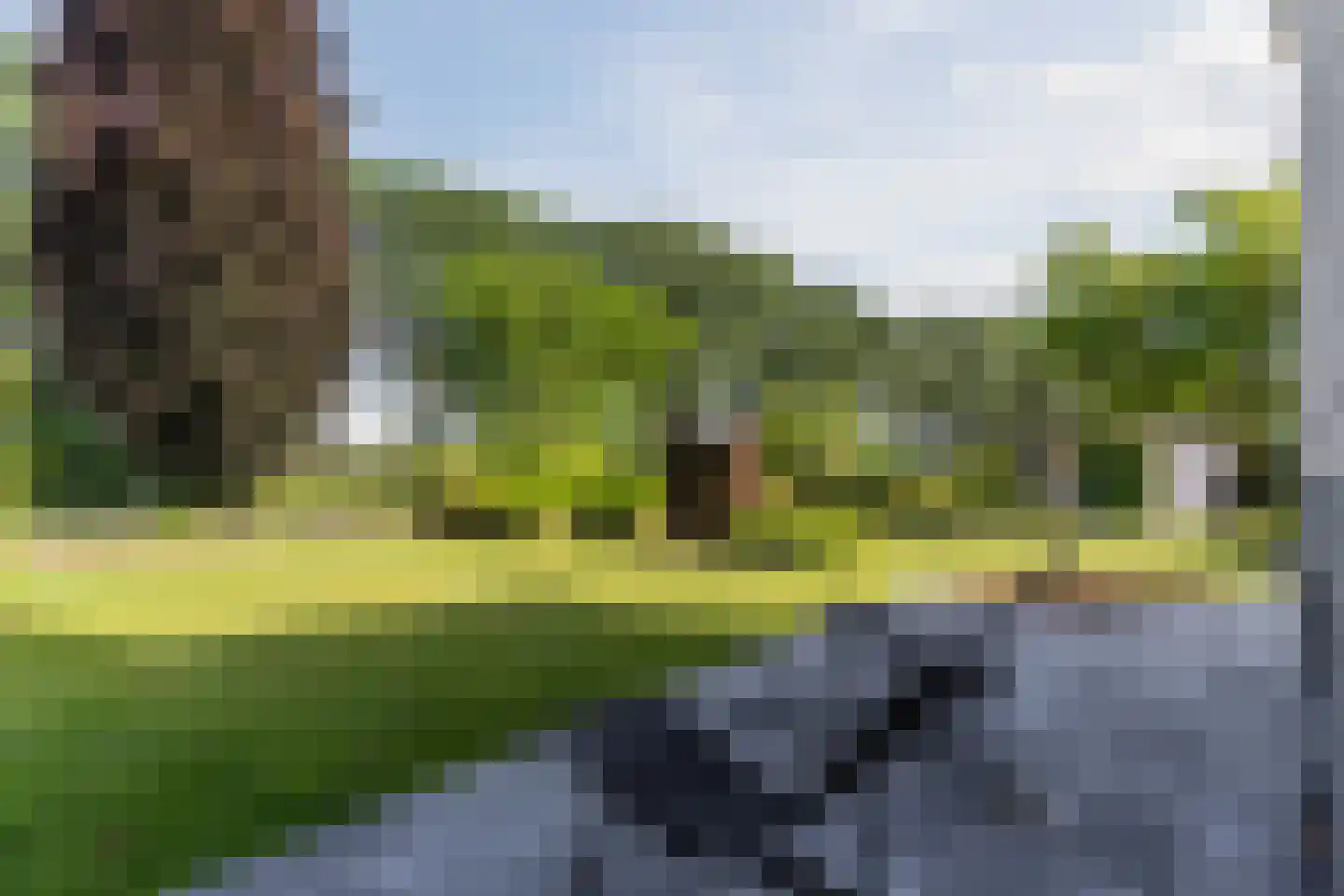 Kievitlaan 14 Riethoven thumbnail 48