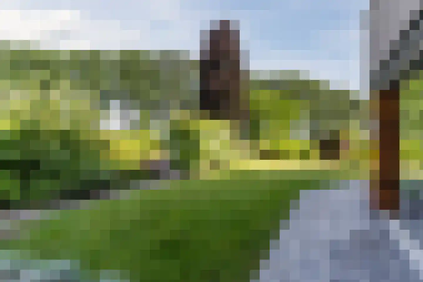 Kievitlaan 14 Riethoven thumbnail 49