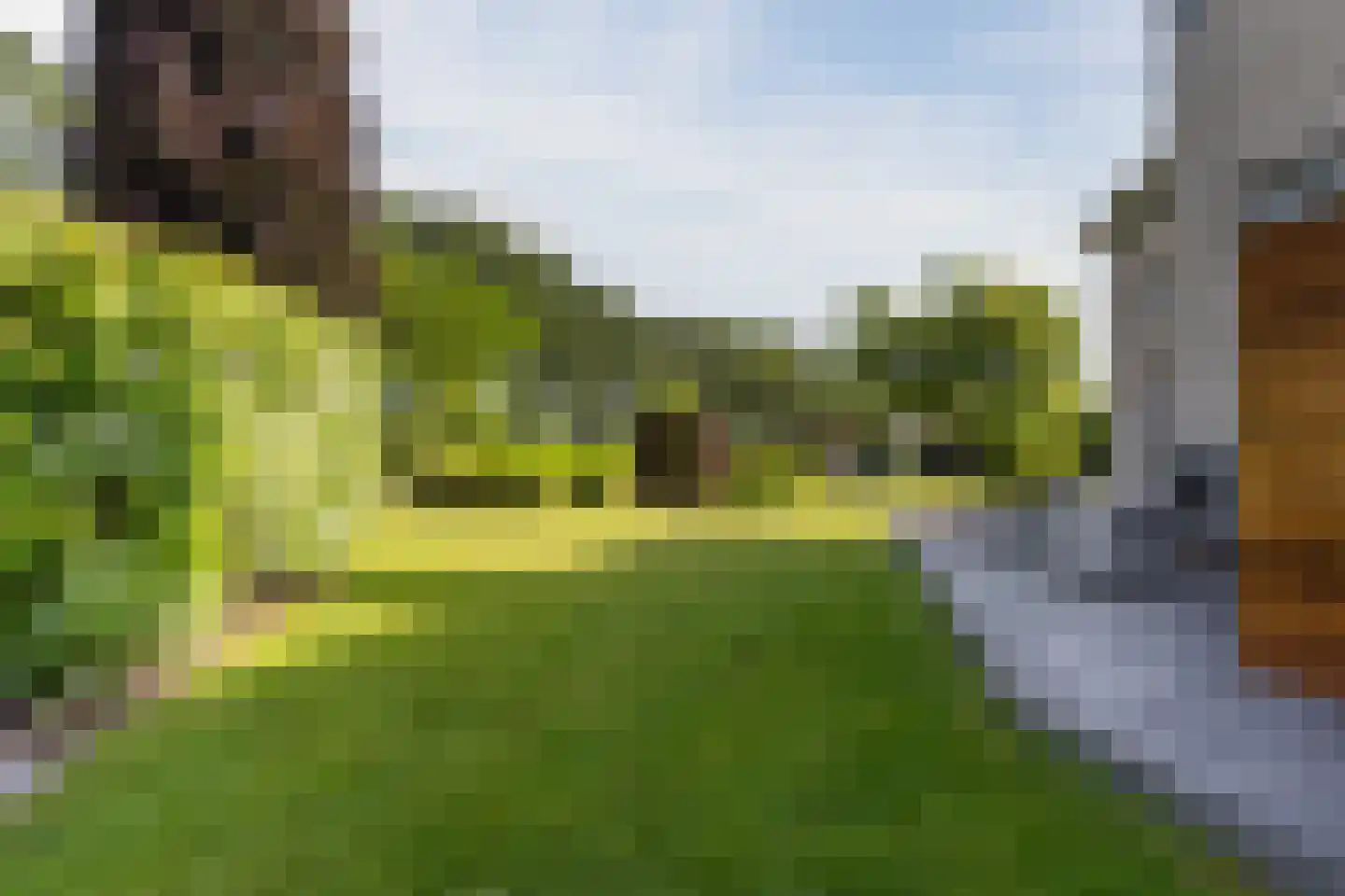 Kievitlaan 14 Riethoven thumbnail 50