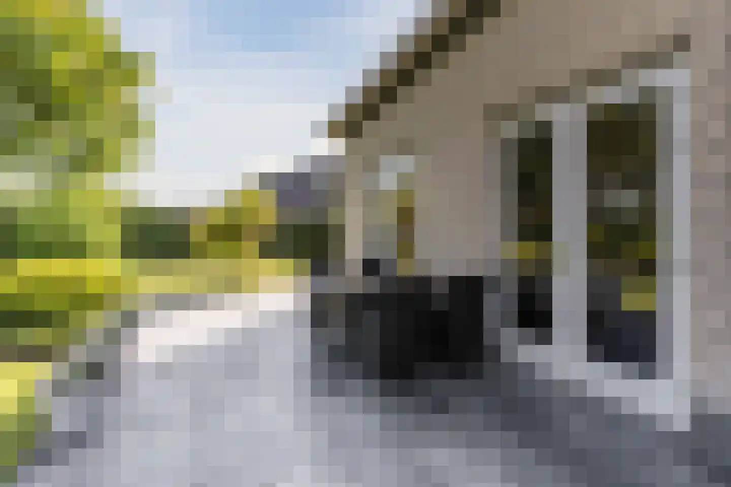 Kievitlaan 14 Riethoven thumbnail 51