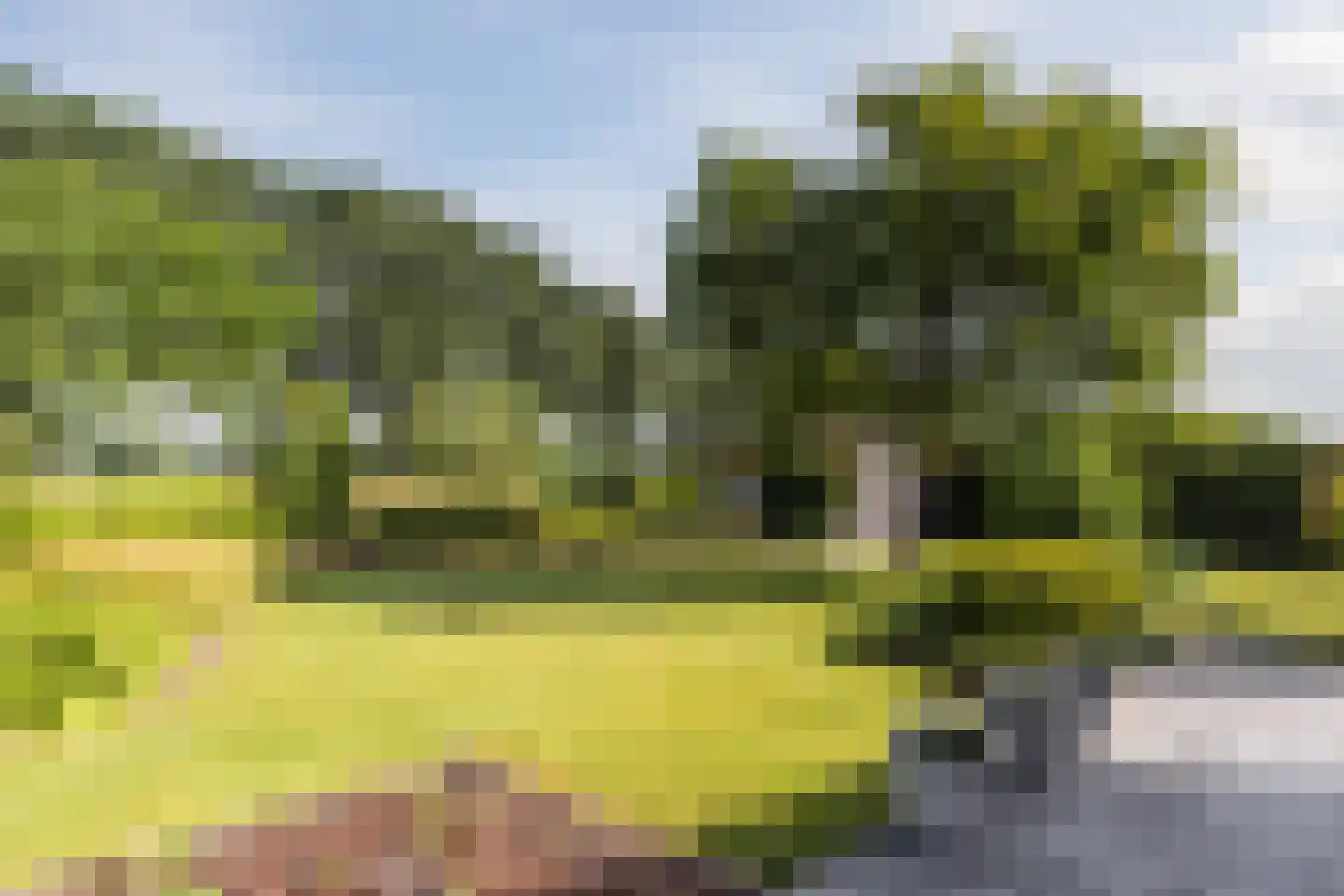 Kievitlaan 14 Riethoven thumbnail 53