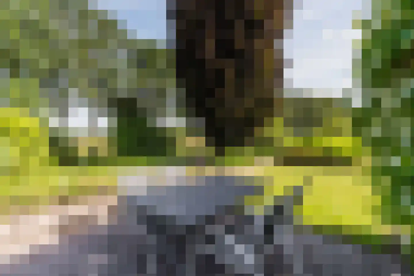 Kievitlaan 14 Riethoven thumbnail 55