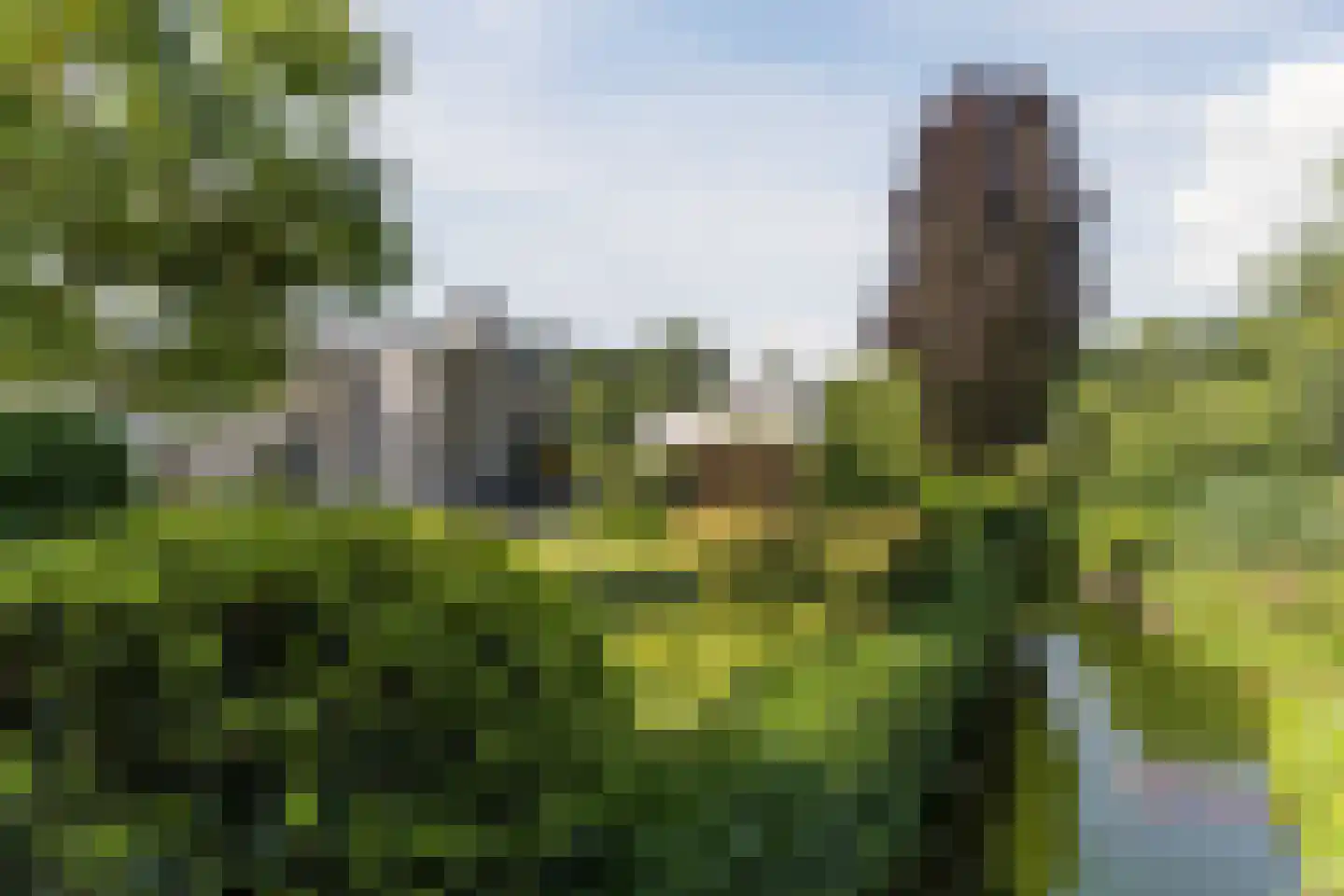 Kievitlaan 14 Riethoven thumbnail 56