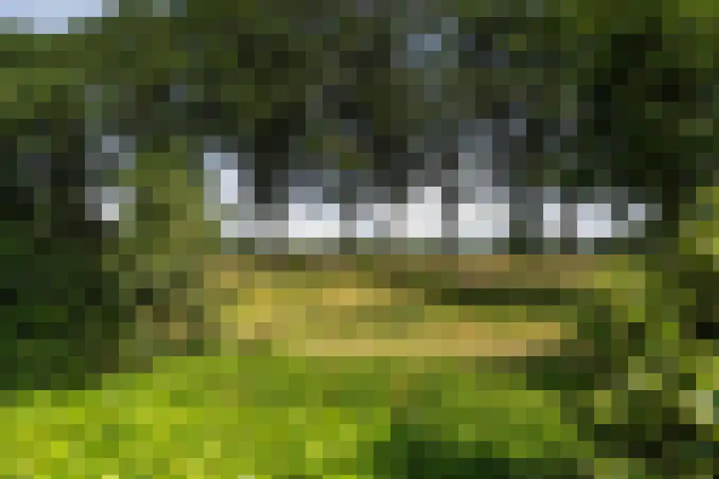 Kievitlaan 14 Riethoven thumbnail 57