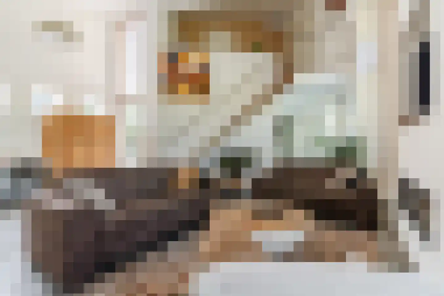 Kievitlaan 14 Riethoven thumbnail 8