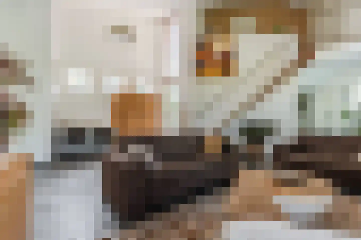 Kievitlaan 14 Riethoven thumbnail 9