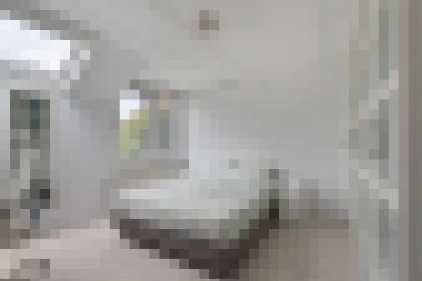 Kievitlaan 14 't Veld thumbnail 16