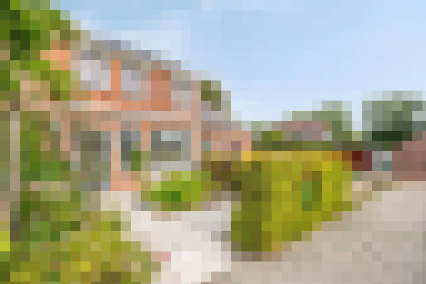 Kievitlaan 14 't Veld foto 2
