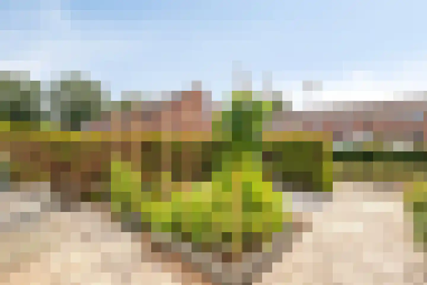 Kievitlaan 14 't Veld thumbnail 31