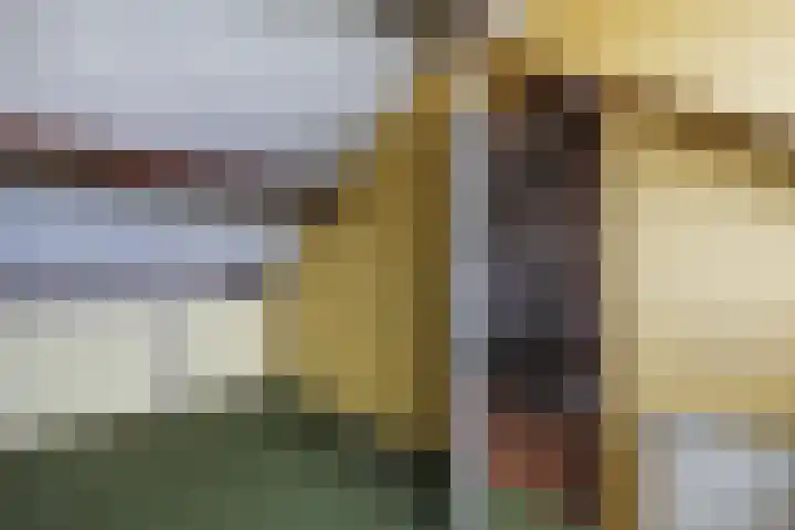 Kievitlaan 16 Hoevelaken thumbnail 30