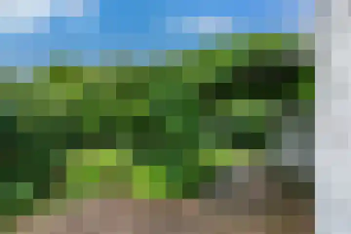 Kievitlaan 16 Hoevelaken thumbnail 33