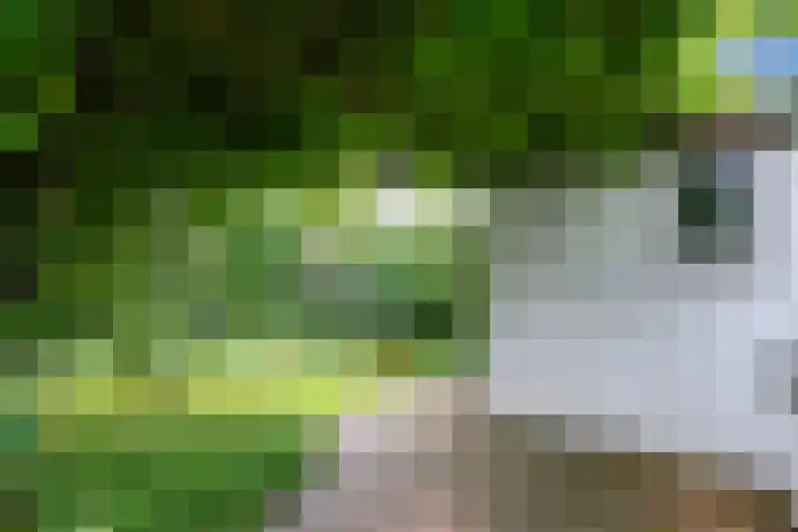 Kievitlaan 16 Hoevelaken thumbnail 34