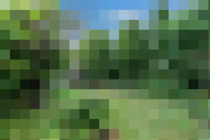 Kievitlaan 16 Hoevelaken thumbnail 35