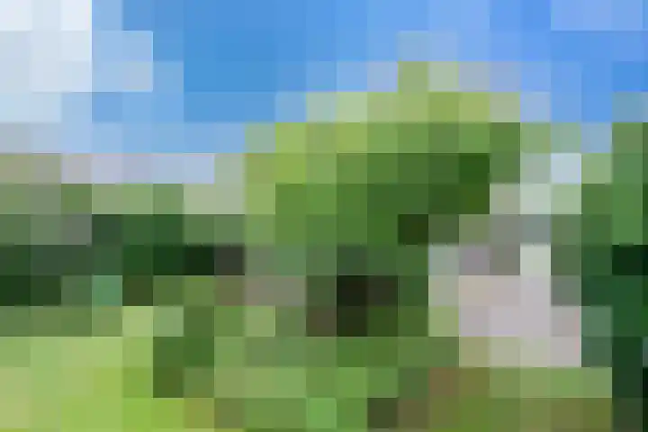 Kievitlaan 16 Hoevelaken thumbnail 37