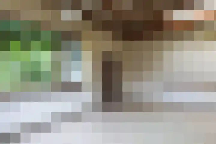 Kievitlaan 16 Hoevelaken thumbnail 9