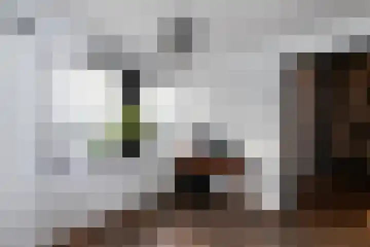 Kievitlaan 16 Sliedrecht thumbnail 15