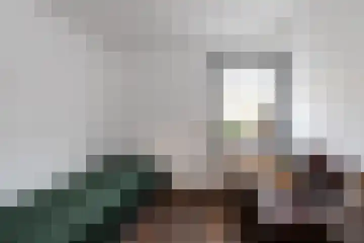 Kievitlaan 16 Sliedrecht thumbnail 16
