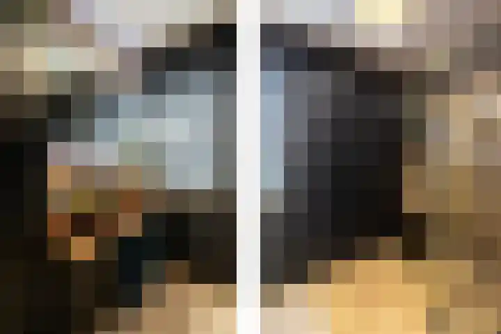 Kievitlaan 16 Sliedrecht thumbnail 17