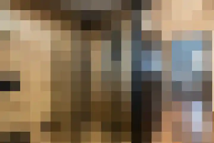 Kievitlaan 16 Sliedrecht thumbnail 19