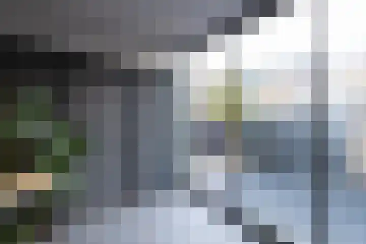 Kievitlaan 16 Sliedrecht thumbnail 22