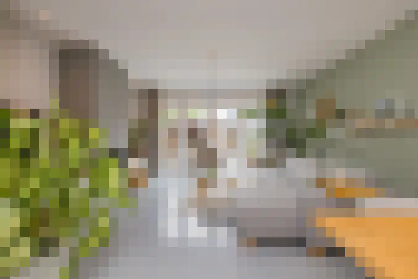 Kievitlaan 19 IJmuiden thumbnail 15