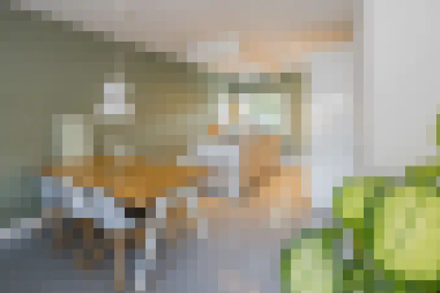 Kievitlaan 19 IJmuiden thumbnail 7