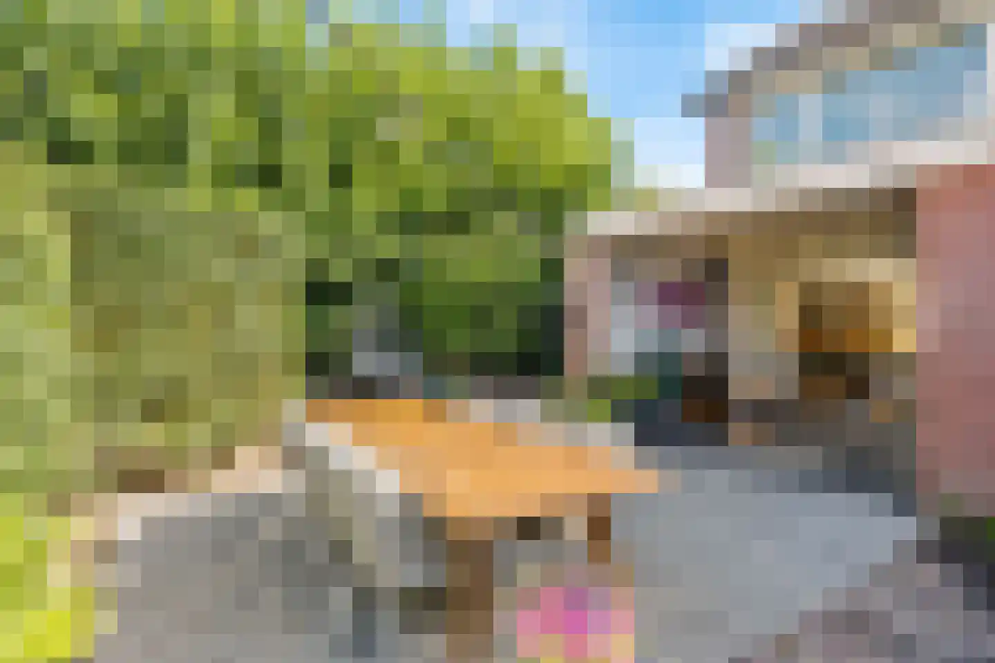 Kievitlaan 2 Hoevelaken thumbnail 30