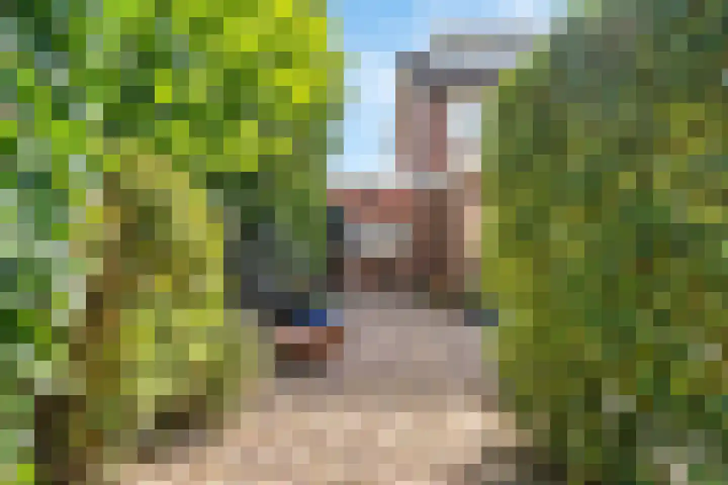 Kievitlaan 2 Hoevelaken thumbnail 31