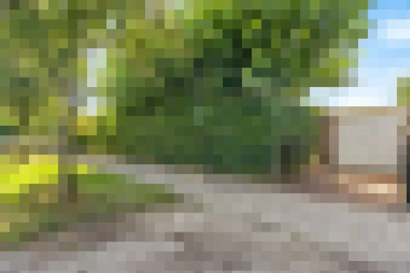 Kievitlaan 2 Hoevelaken thumbnail 33