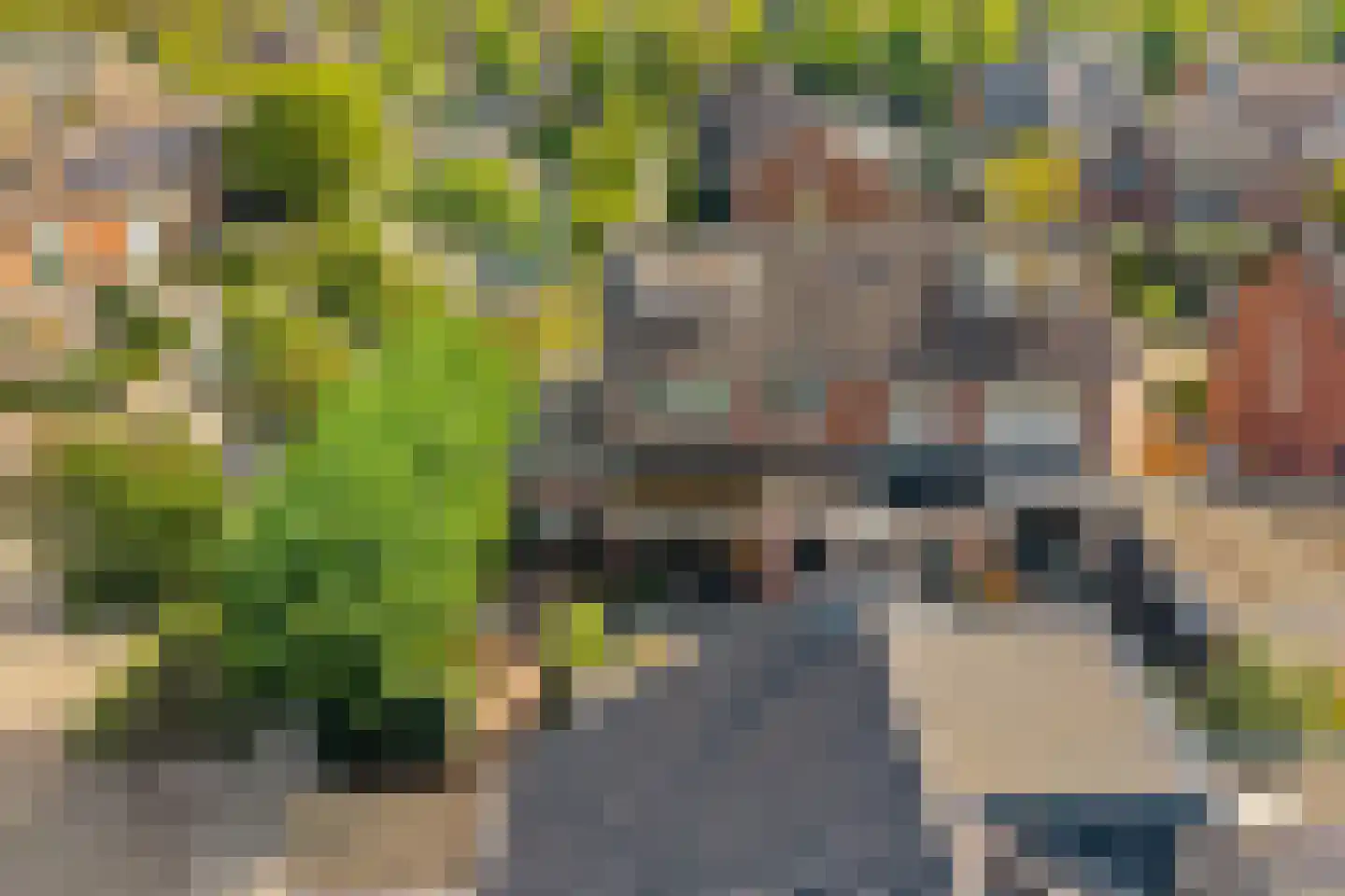 Kievitlaan 2 Hoevelaken thumbnail 34
