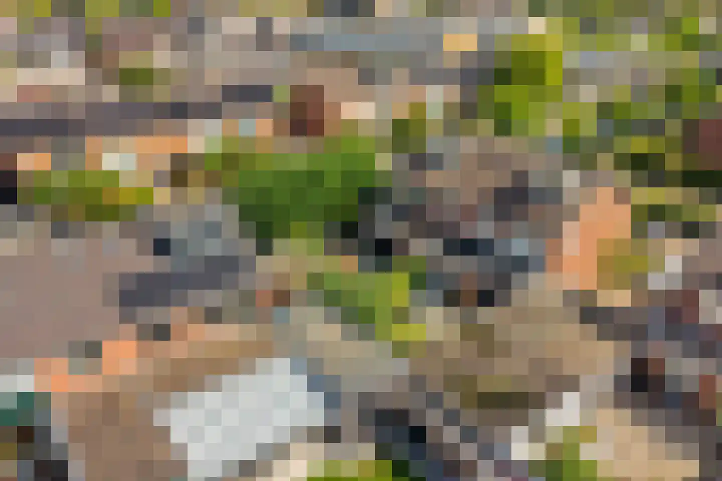 Kievitlaan 2 Hoevelaken thumbnail 36