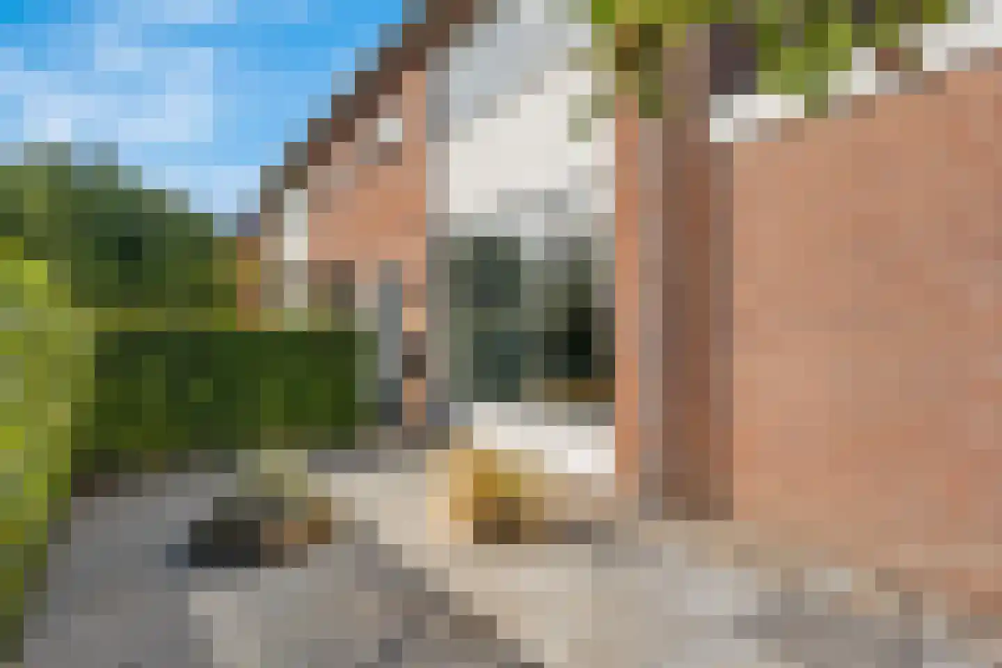 Kievitlaan 2 Hoevelaken thumbnail 9