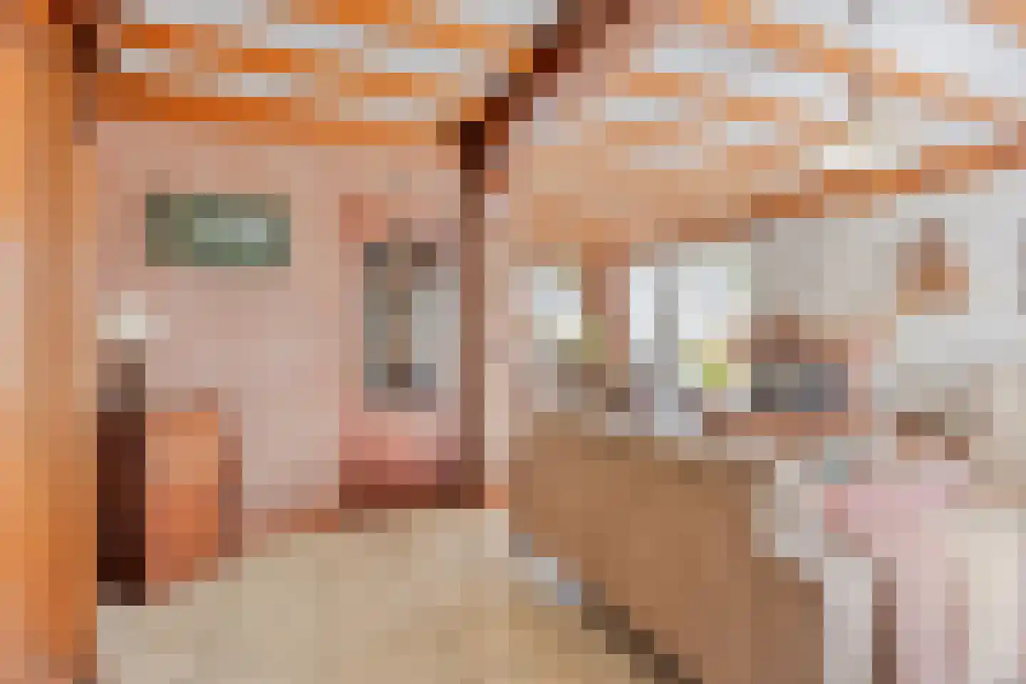 Kievitlaan 22 Boekel thumbnail 17