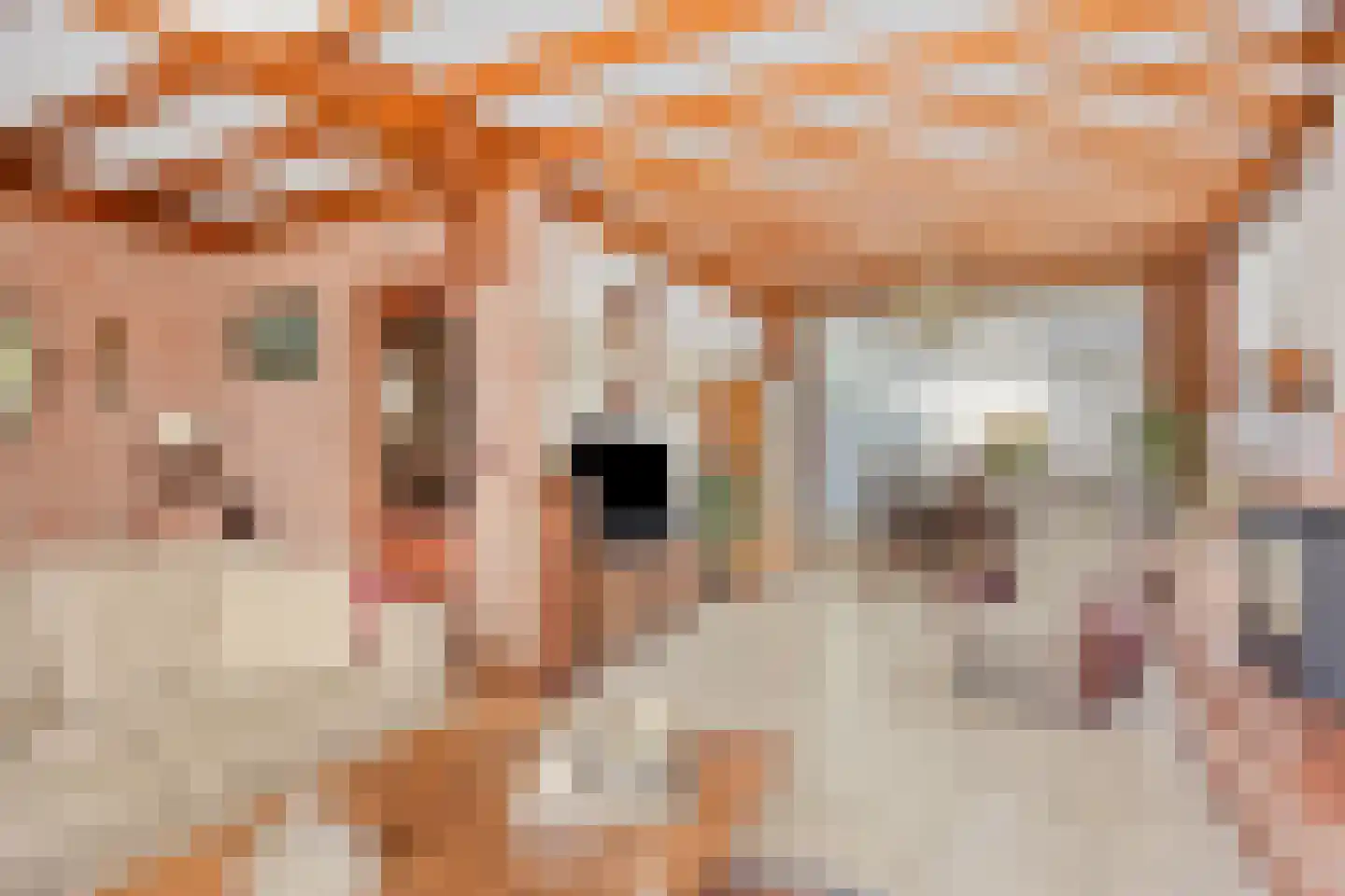 Kievitlaan 22 Boekel thumbnail 18