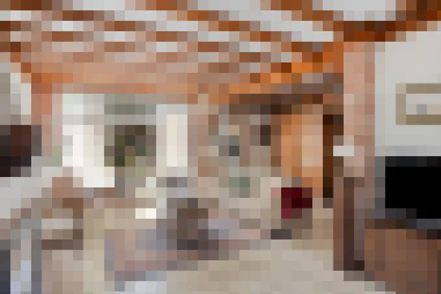 Kievitlaan 22 Boekel thumbnail 20