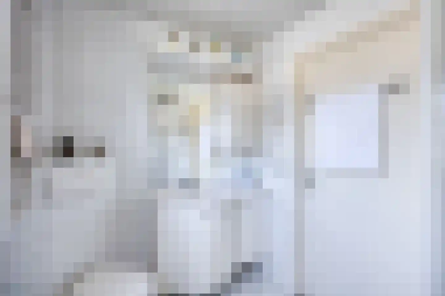 Kievitlaan 22 Boekel thumbnail 29