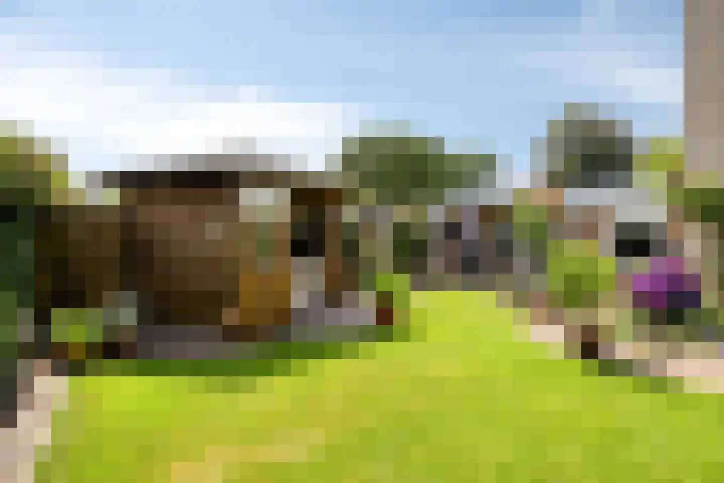 Kievitlaan 22 Boekel thumbnail 36