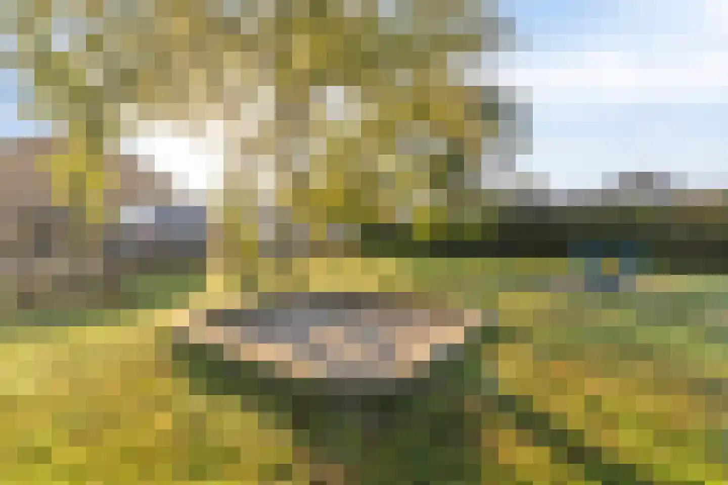 Kievitlaan 22 Boekel thumbnail 43