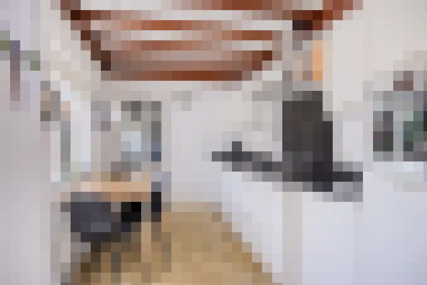 Kievitlaan 22 Boekel thumbnail 5