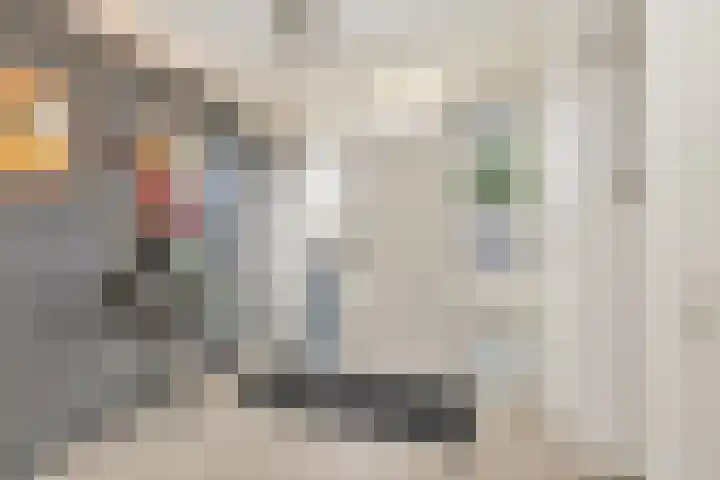 Kievitlaan 23 Schagen thumbnail 10
