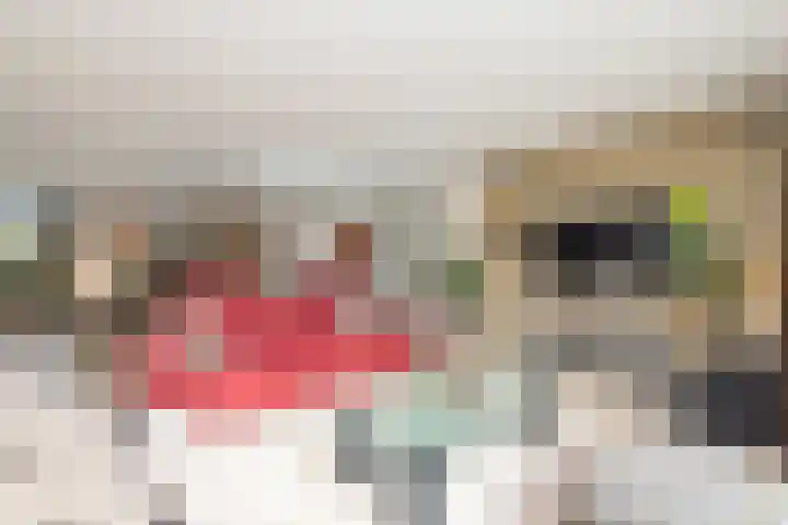 Kievitlaan 23 Schagen thumbnail 14