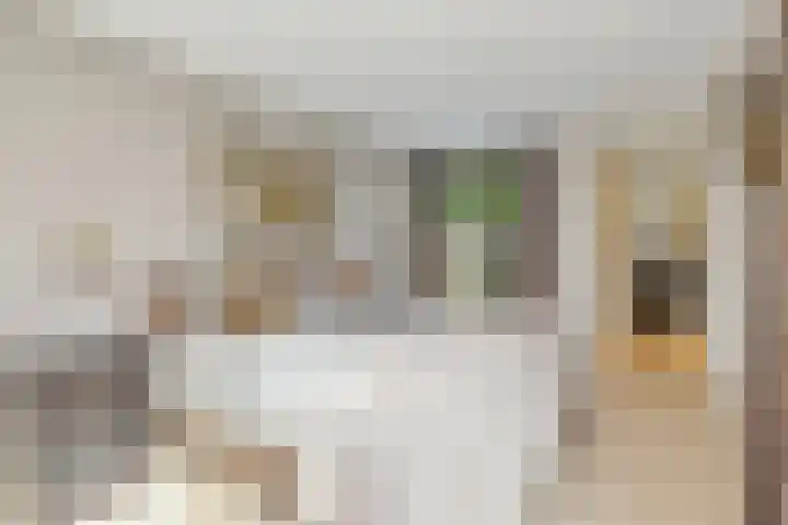 Kievitlaan 23 Schagen thumbnail 37
