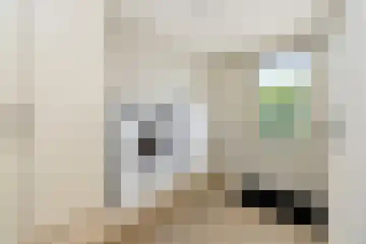Kievitlaan 23 Schagen thumbnail 44